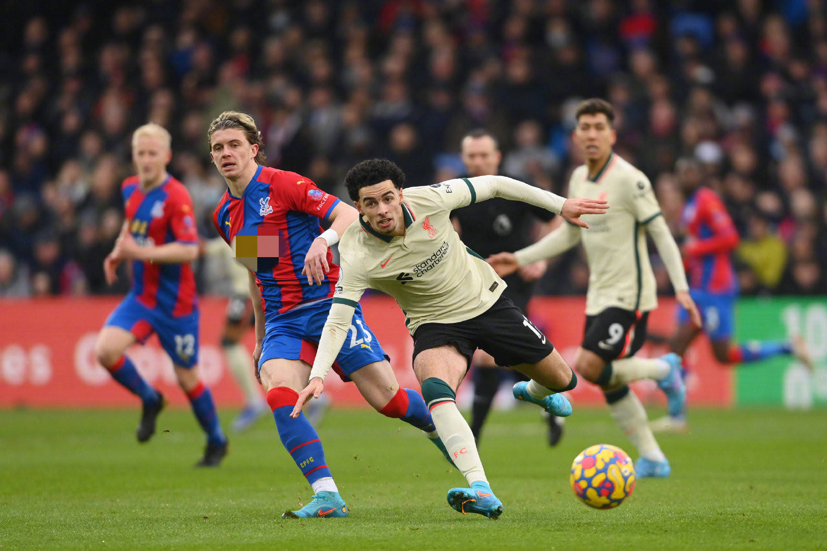 板统计可能 板统计可能